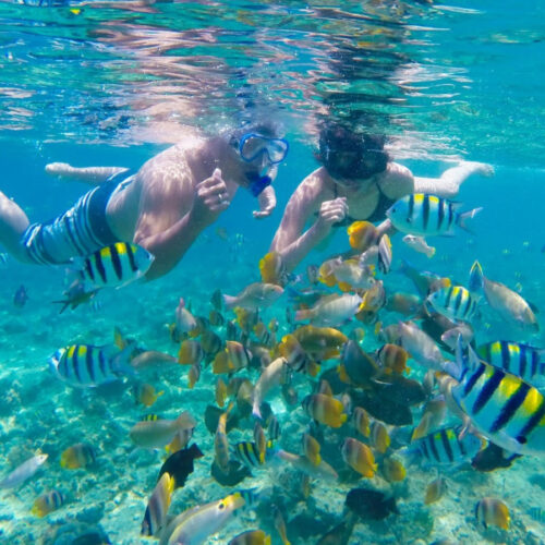 Gili Nanggu, Gili Sudak & Gili Kedis Island Hopping Tour | Lombok Snorkeling Adventure